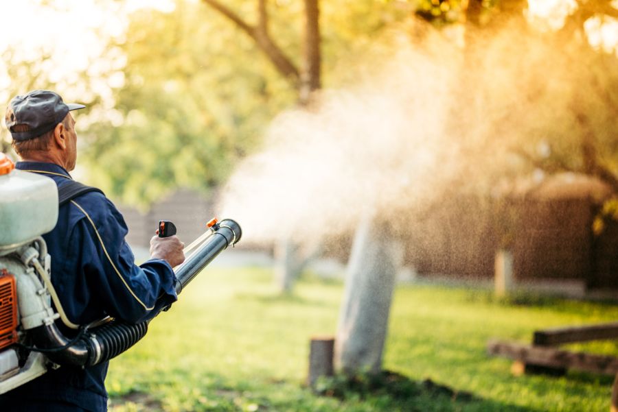 How to get rid of mosquitoes in your yard in Cordova, TN - Allied Termite & Pest Control