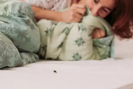 Bed bug crawling on a mattress with person in bed - Allied Pest Control in Memphis TN