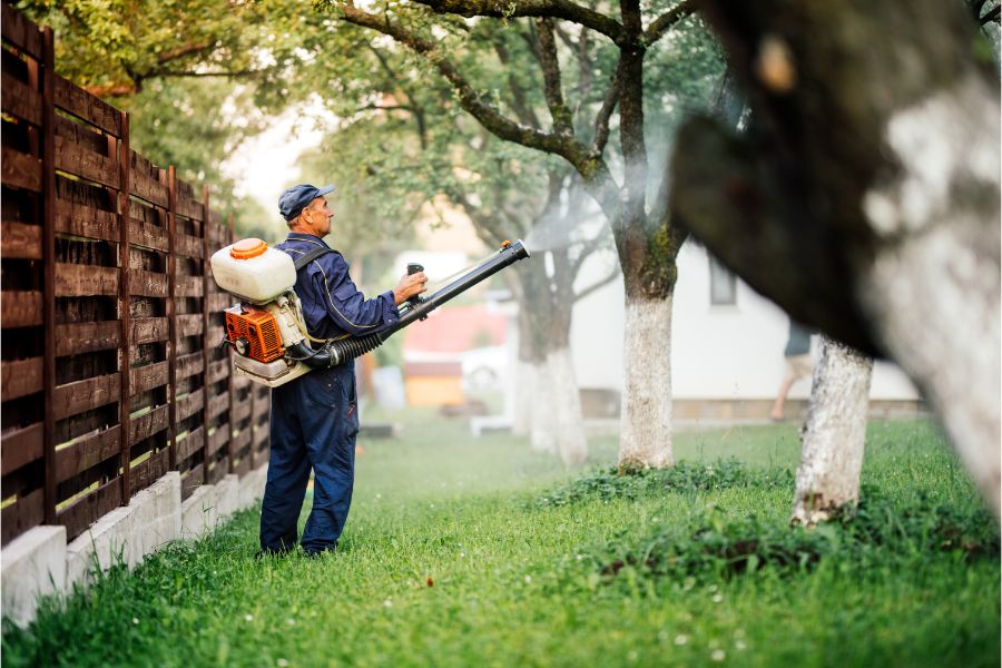 How to prevent mosquitoes in your yard in Cordova, TN |  Allied Termite & Pest Control